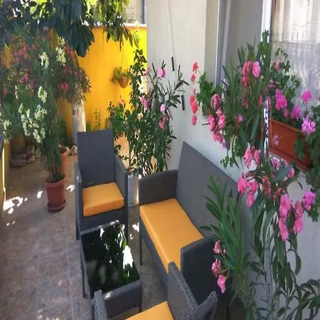 Petrovi אהלוי